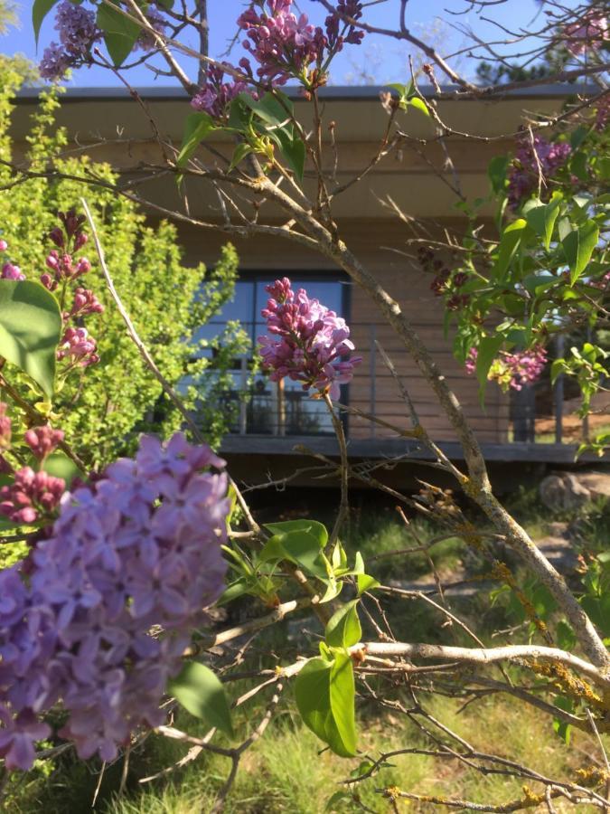 Gîte La Cerise Qui Rit La Cresse Esterno foto