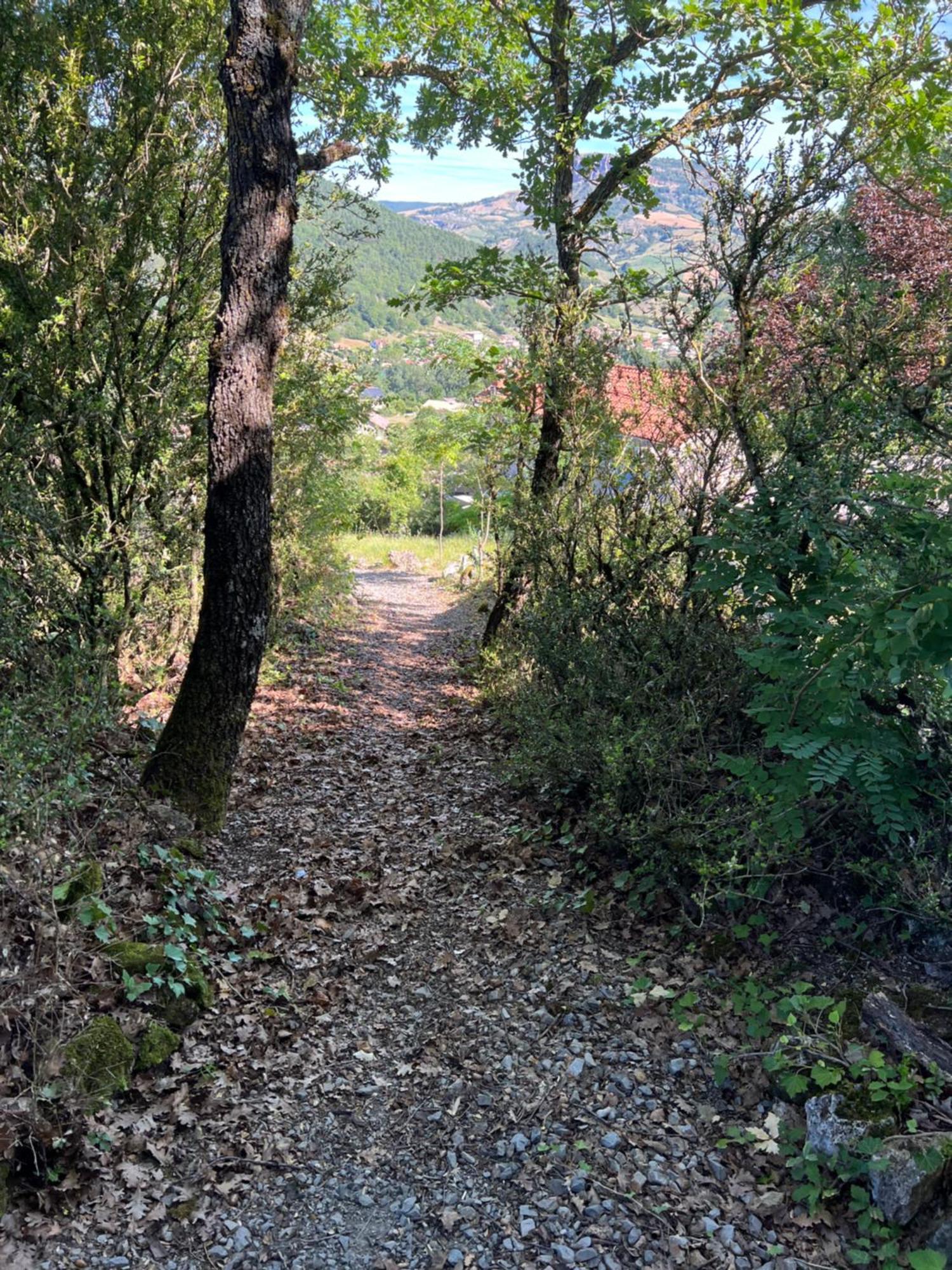Gîte La Cerise Qui Rit La Cresse Esterno foto