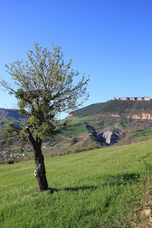 Gîte La Cerise Qui Rit La Cresse Esterno foto