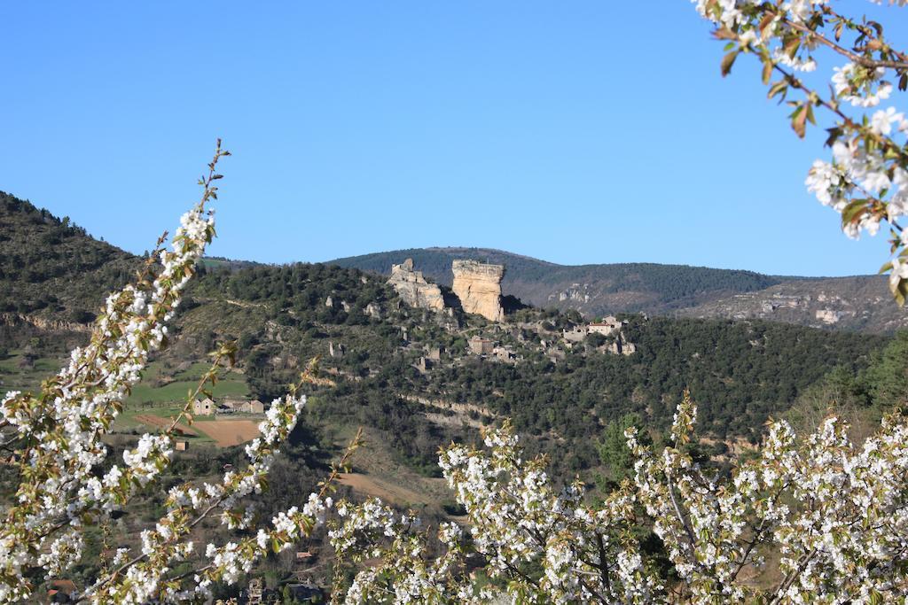 Gîte La Cerise Qui Rit La Cresse Esterno foto